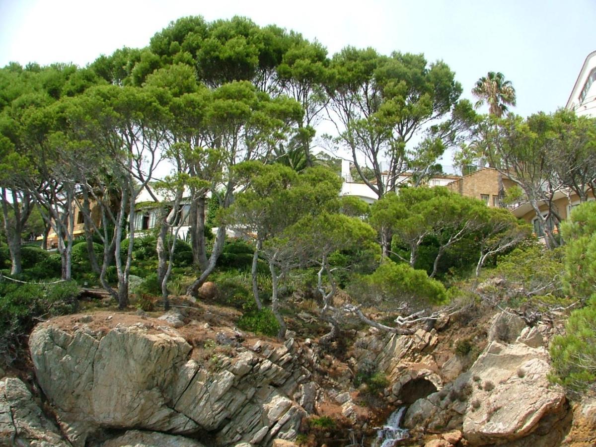Appartamento Cap Sa Sal Navy, Begur, Girona Esterno foto